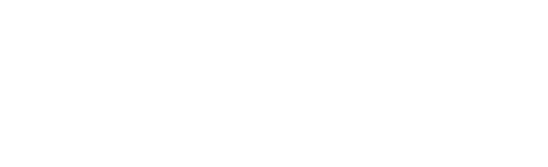 Zorit